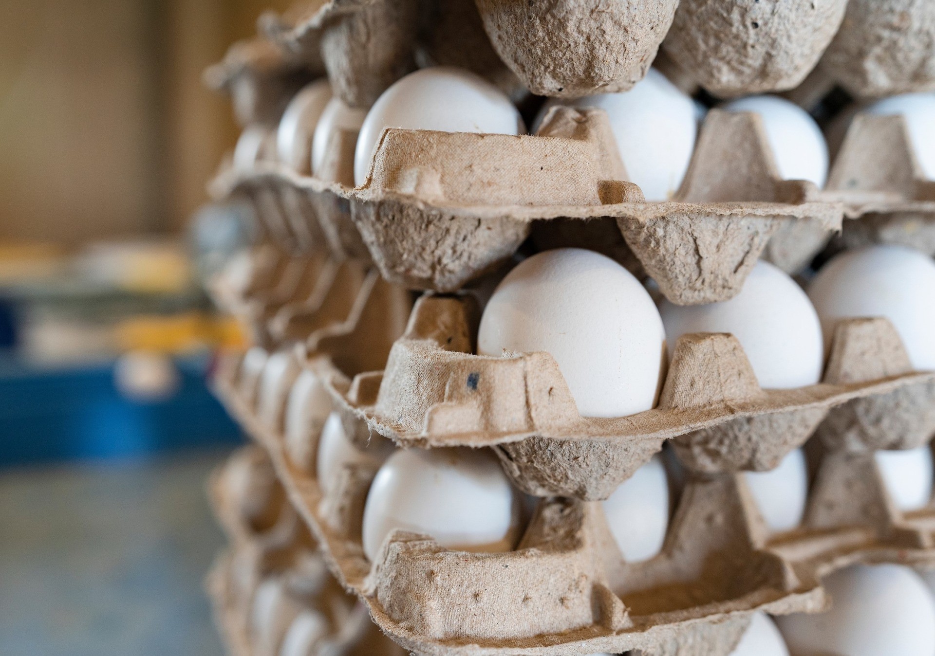 Despite Decrease, Egg Prices Remain High as Easter Draws Near