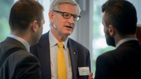 Carl Bildt Discusses European Politics with Steady Support for Ukraine and Gradual Changes for Britain