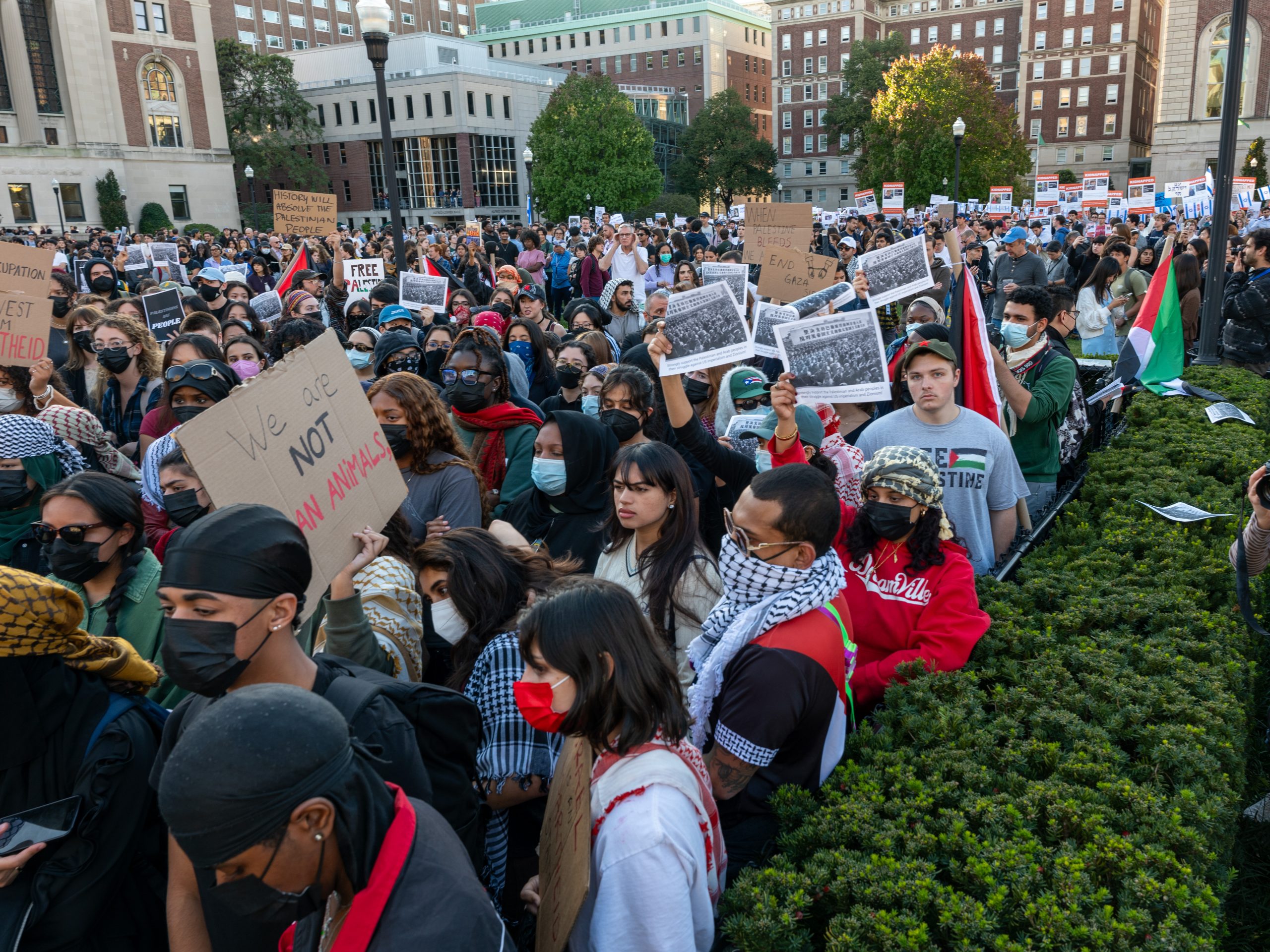 DNC’s Optimism Contrasts with Gaza Suffering Sparking Criticism and Protests Over Palestinian Representation