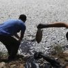 Extreme Weather Triggers Catastrophic Fish Die-Off in Volos, Crippling Local Businesses