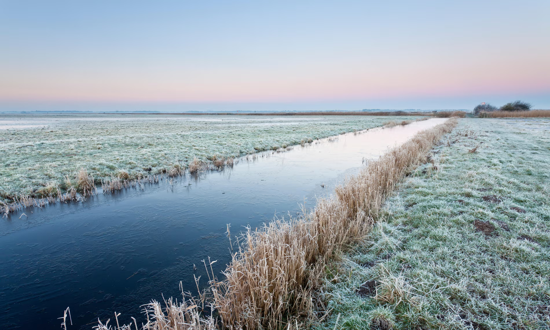 England’s National Parks Governance Criticized for Lack of Diversity and Conservation Focus