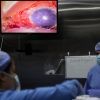 Lebanese Ophthalmologist Battles to Save Vision of Explosion Victims Amid Unprecedented Eye Injury Crisis