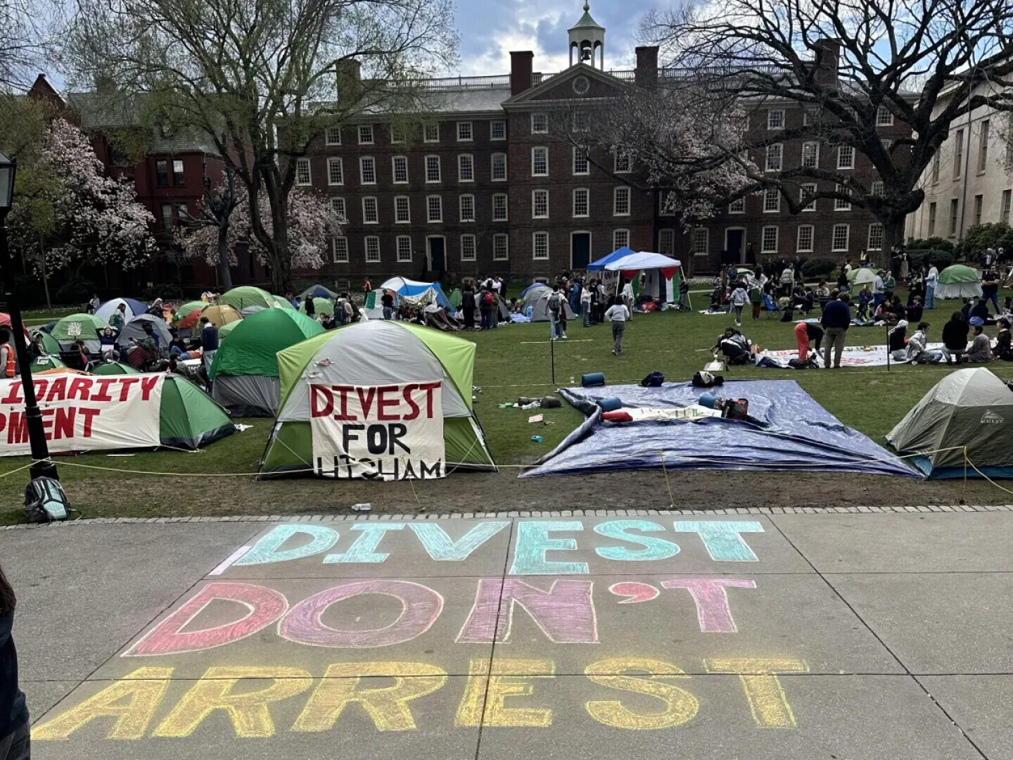 Brown University Votes Against Divestment from Companies Linked to Israeli Occupation Amidst Campus Debate