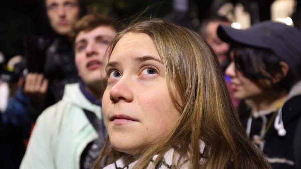 Greta Thunberg Joins Georgian Protesters to Support Democracy and Human Rights Amidst Controversial Election Results