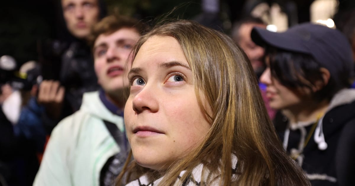 Greta Thunberg Joins Georgian Protesters to Support Democracy and Human Rights Amidst Controversial Election Results