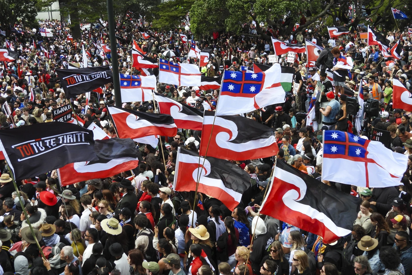 Tens of Thousands Protest in Wellington Against Controversial Bill to Redefine Treaty of Waitangi