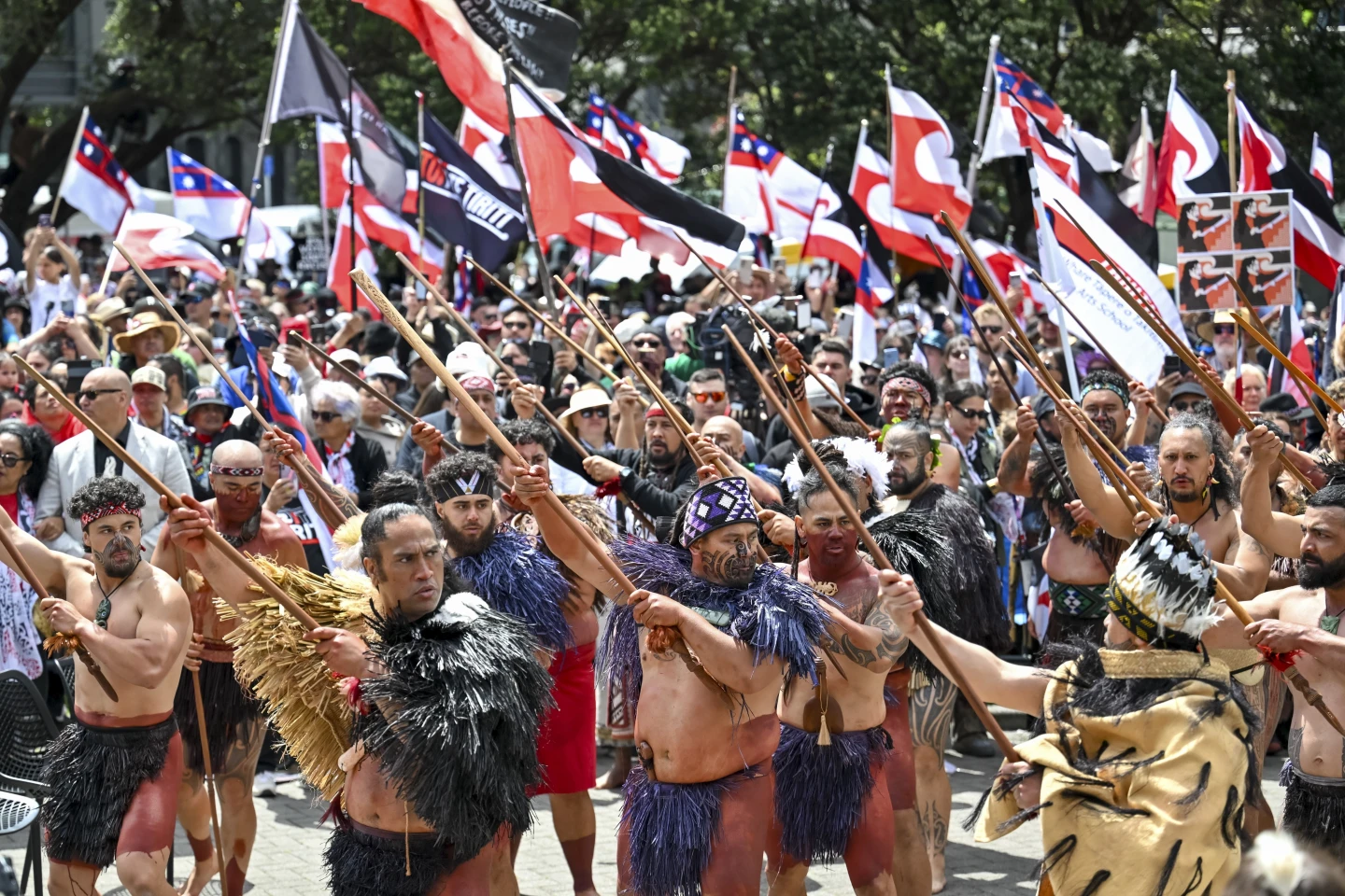 Tens of Thousands Protest in Wellington Against Controversial Bill to Redefine Treaty of Waitangi