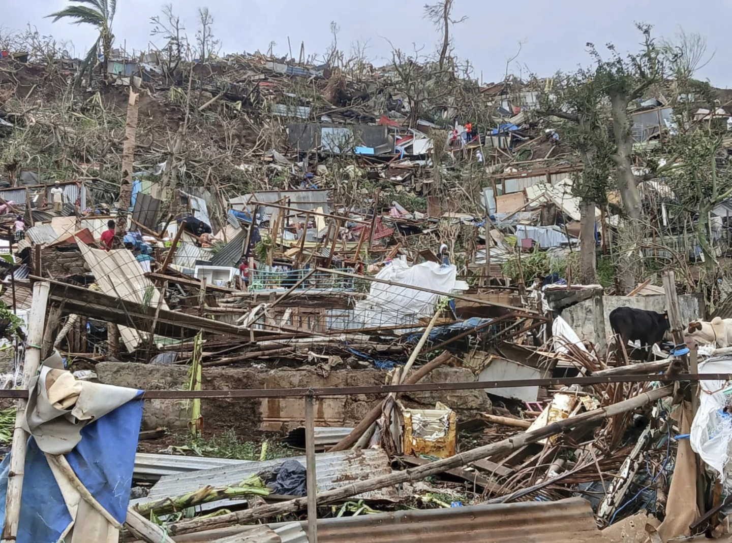 Cyclone Chido Devastates Mayotte, Leaving Hundreds Feared Dead and Infrastructure in Ruins