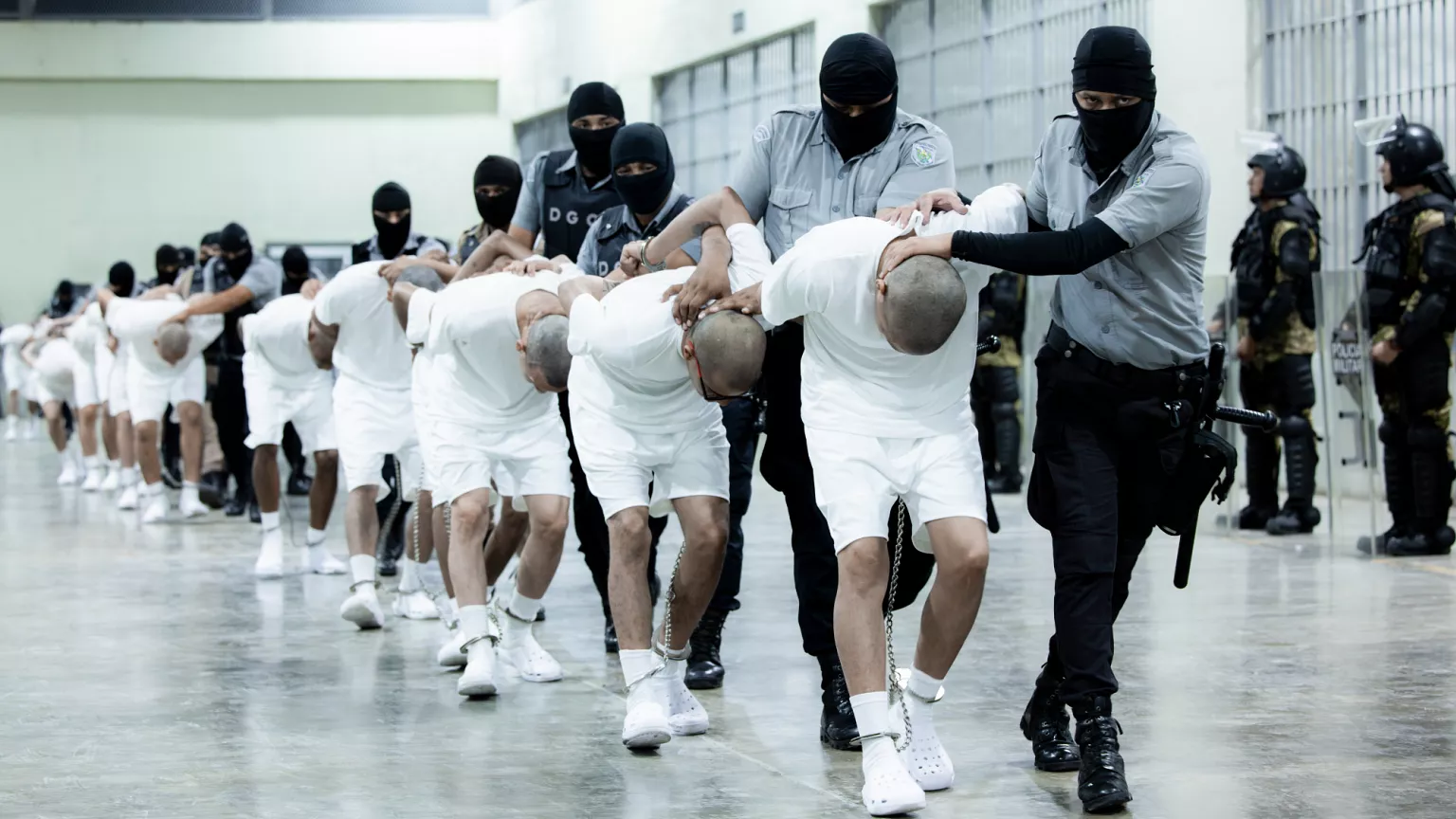 Supreme Court Halts Trump’s Venezuela Deportations, Citing Due Process Concerns